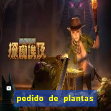 pedido de plantas stardew valley onde entregar